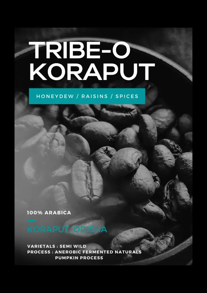 TRIBE-O KORAPUT